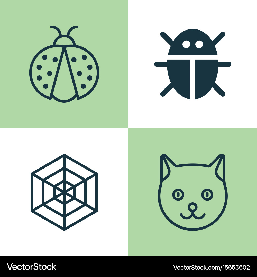 Zoo icons set collection of beetle cobweb Vector Image