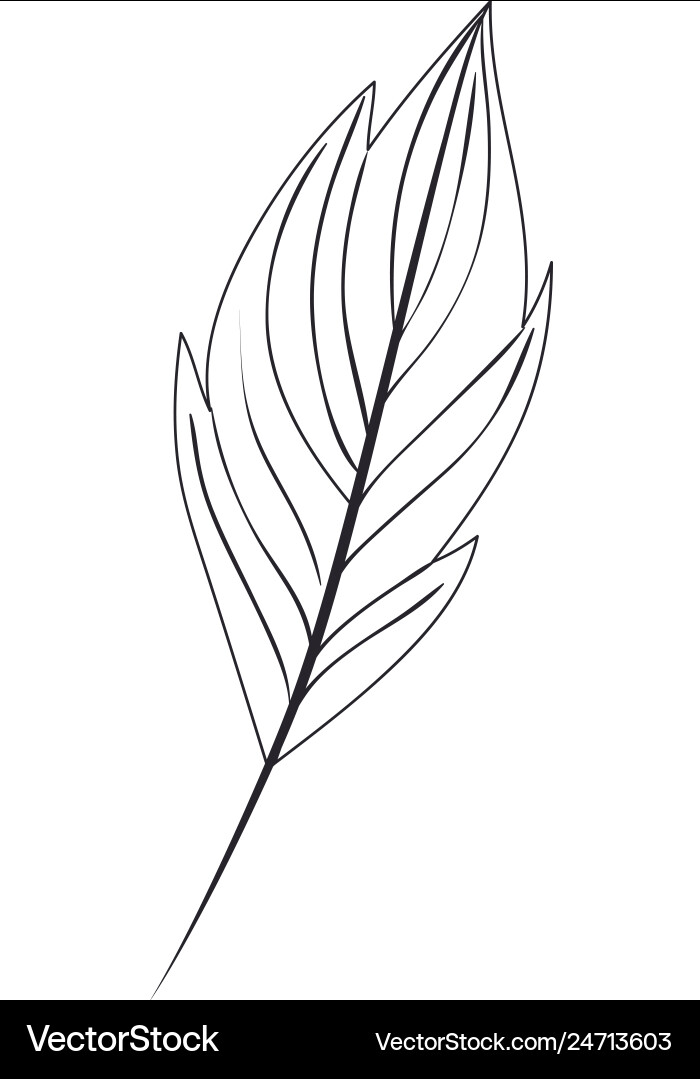 Branch with leaf isolated icon vector image