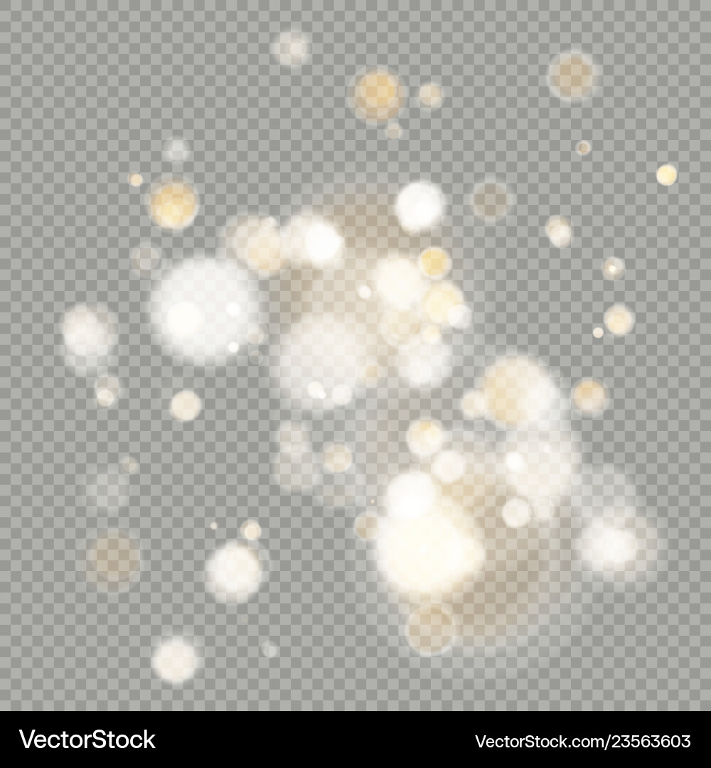 Effect of bokeh circles isolated on transparent Effect of bokeh circles isolated on transparent vector image