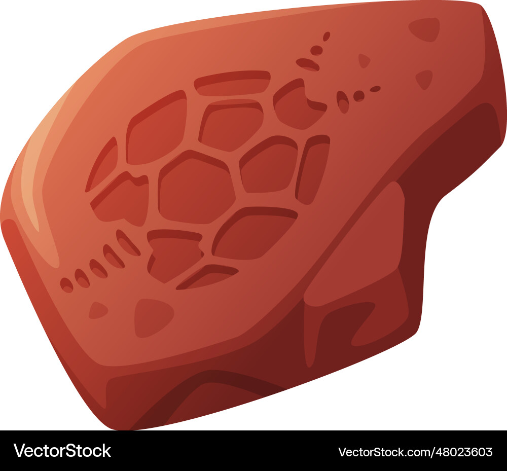 Fossil imprint obtained by digging on surface Fossil imprint obtained by digging on surface vector image