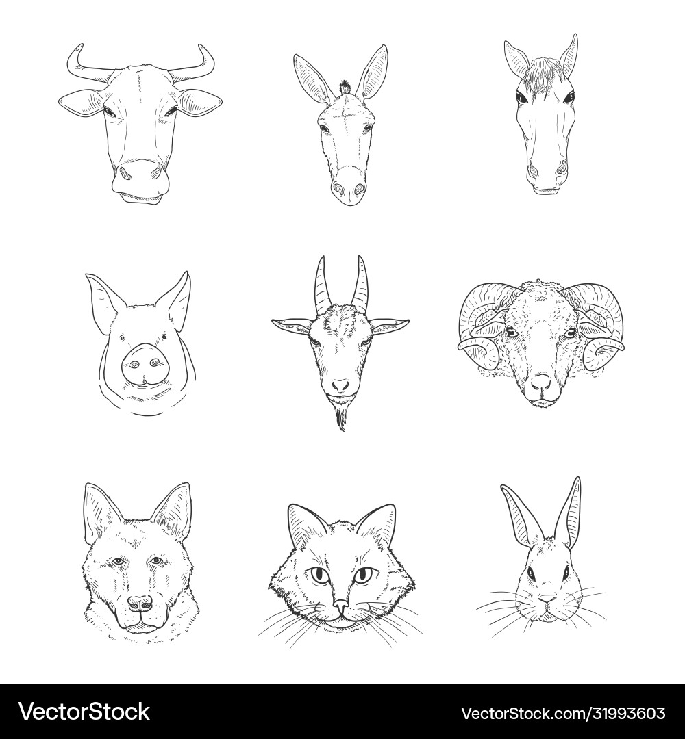 Set sketch farm animals heads Set sketch farm animals heads vector image