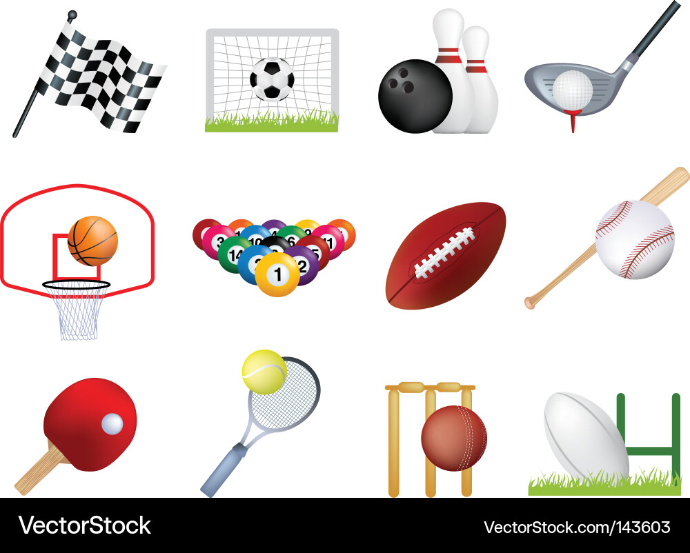 Sports Equipment Icons vector image