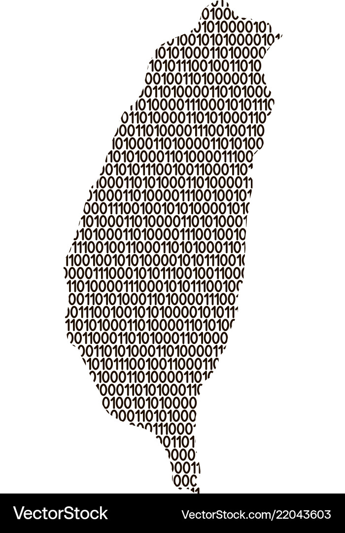 Taiwan Binary Map vector image