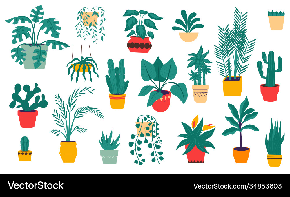 Tropical & Desert House Plants Vector Image