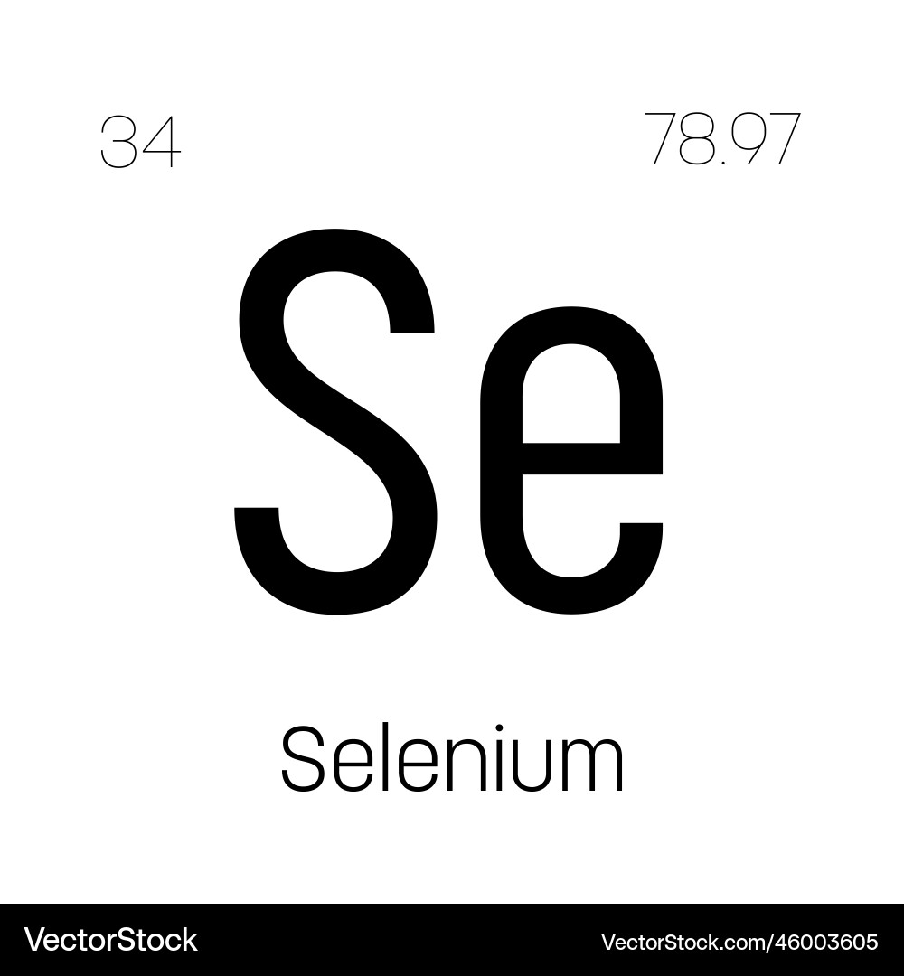 Selenium se periodic table element Selenium se periodic table element vector image