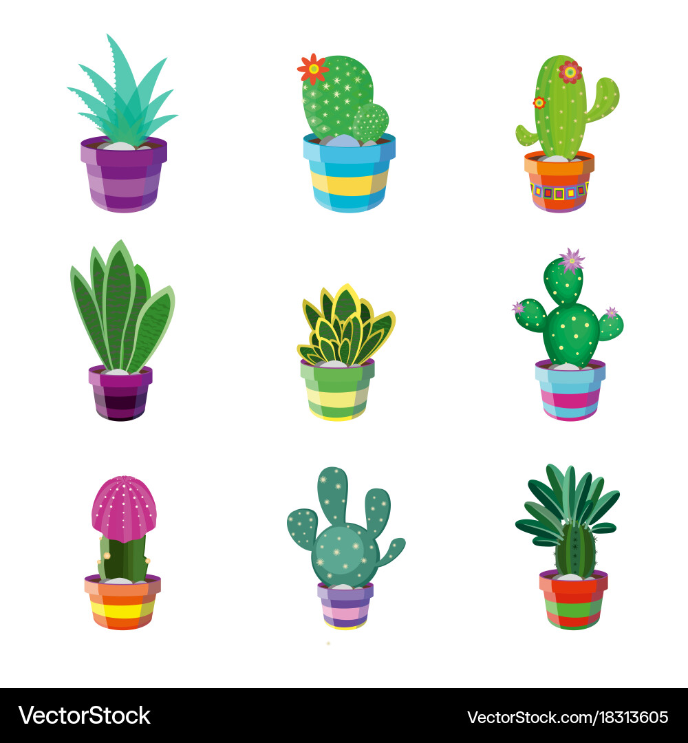 Set of different cacti Vector Image