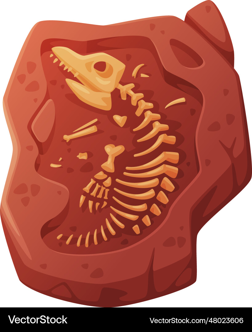 Fossil obtained by digging rested in soil Fossil obtained by digging rested in soil vector image