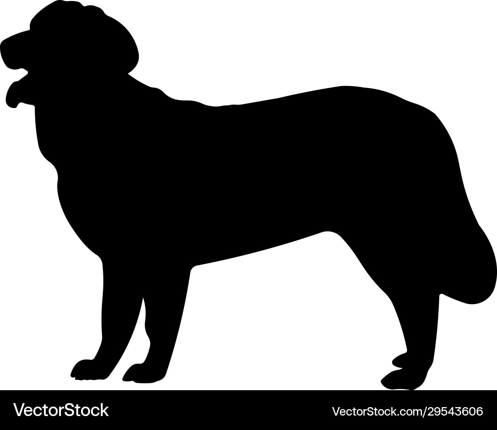 Image dog silhouette on white background Image dog silhouette on white background vector image