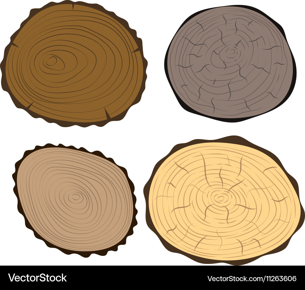 Tree slice isolated Vector Image