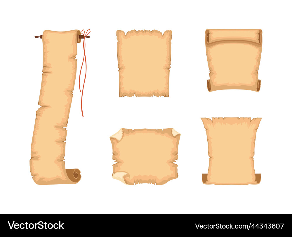 Old paper scroll and parchment or blank ancient Old paper scroll and parchment or blank ancient vector image