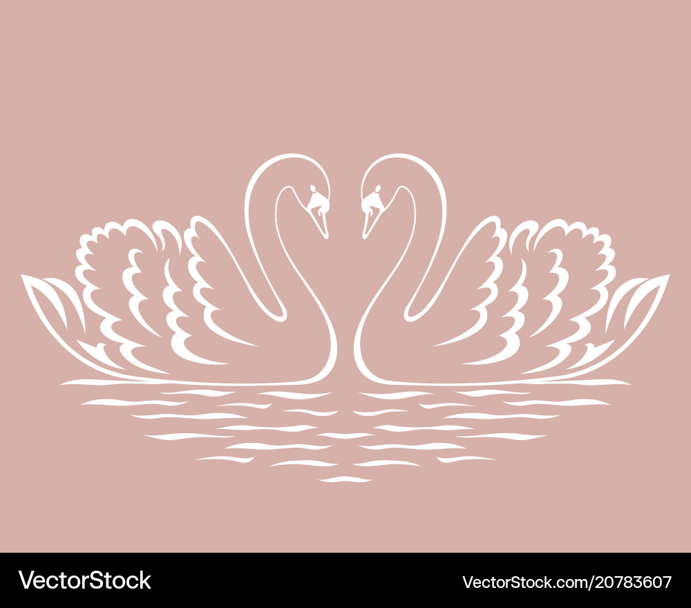 Swan Couple Silhouette Swan Couple Silhouette vektorbild