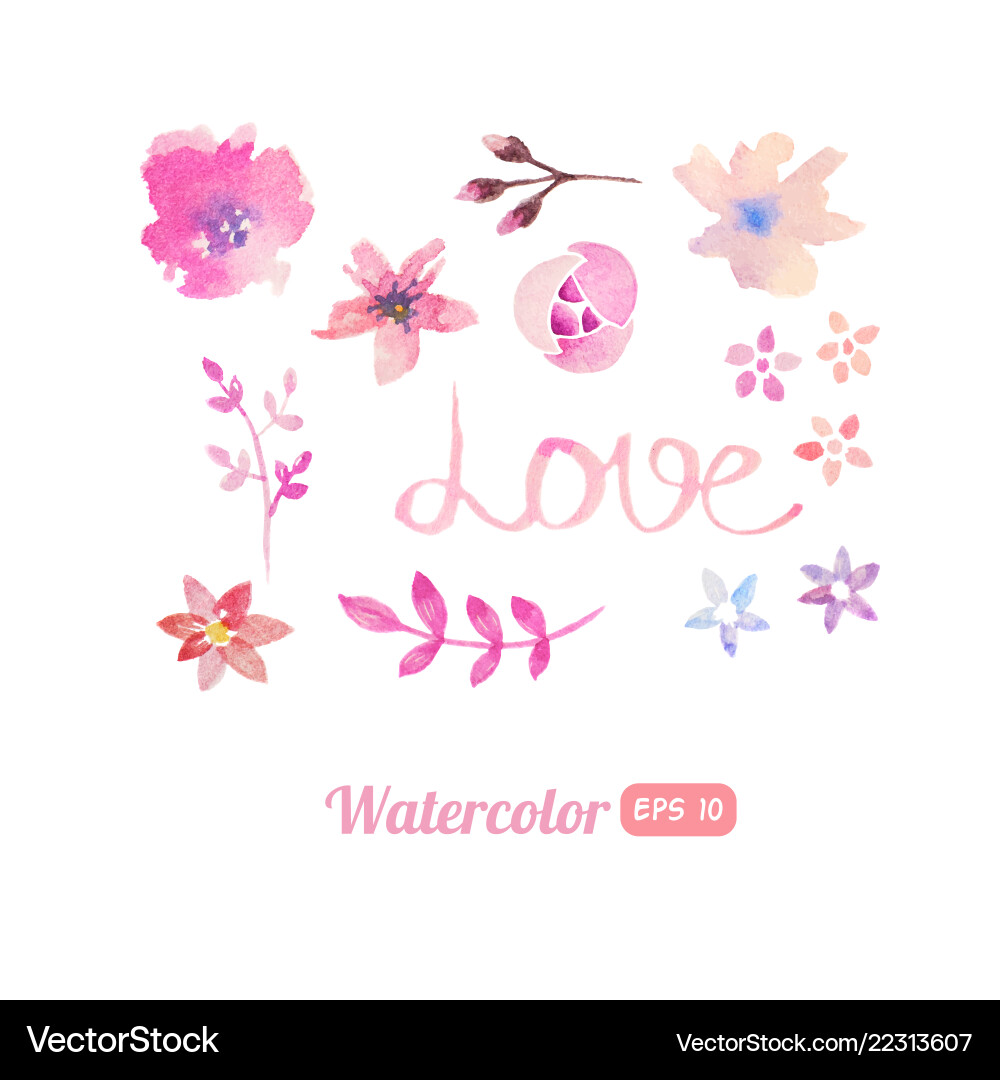 Watercolor Floral Elements Set Vector Image