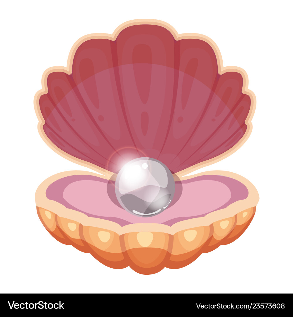 Ocean Pearl Shell Royalty Free Vector Image - VectorStock