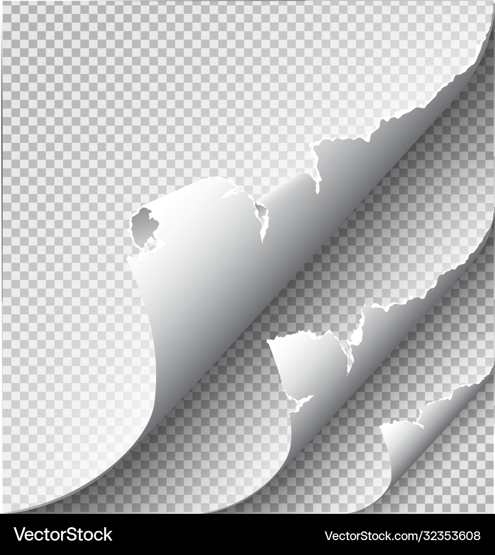 Page curl with shadow on blank sheet paper Page curl with shadow on blank sheet paper vector image