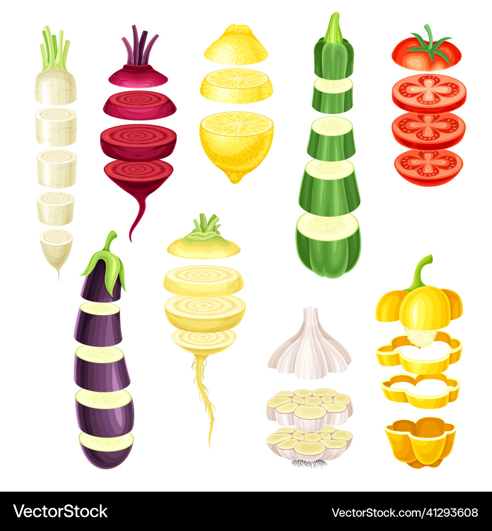 Set of vegetable slices lying in vertical rows Set of vegetable slices lying in vertical rows vector image