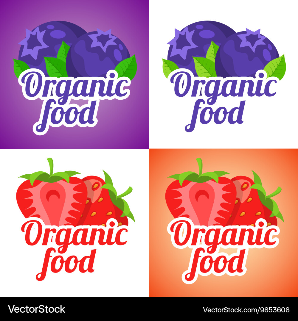 Various berries simple background Vector Image
