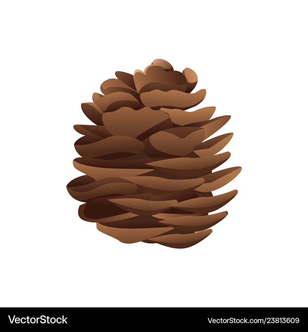 Pinecone in brown color and realistic style Pinecone in brown color and realistic style vector image