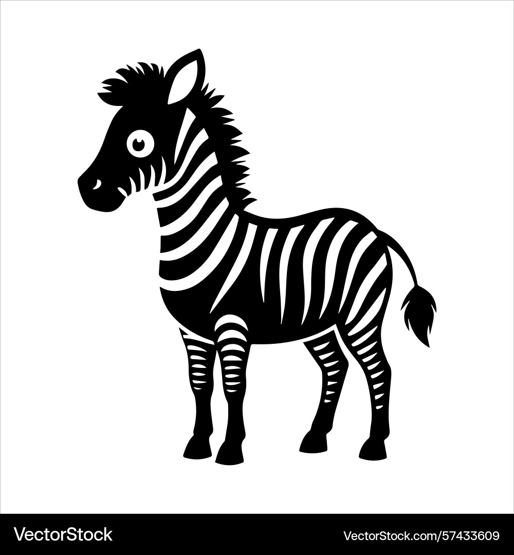 Plain zebra vector image