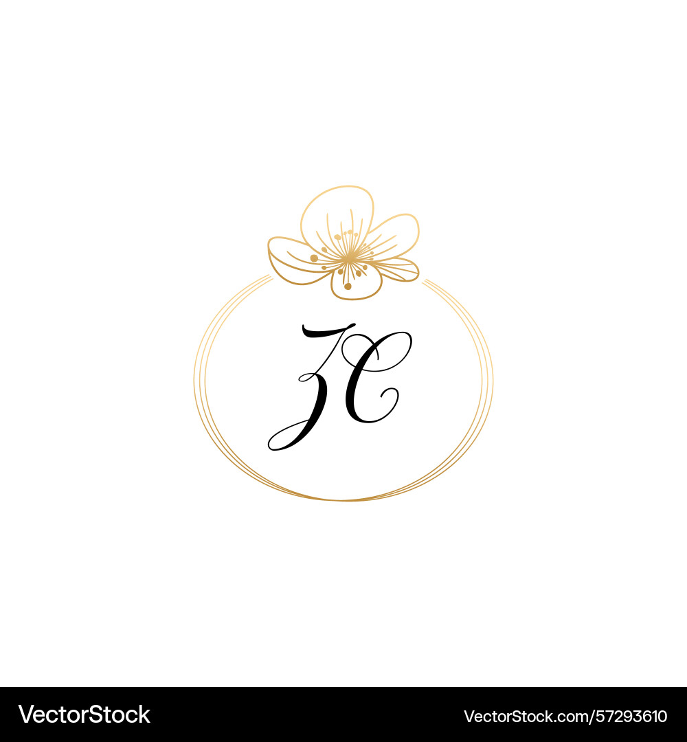 Botanical monogram logos with initial zc Botanical monogram logos with initial zc Vector Image