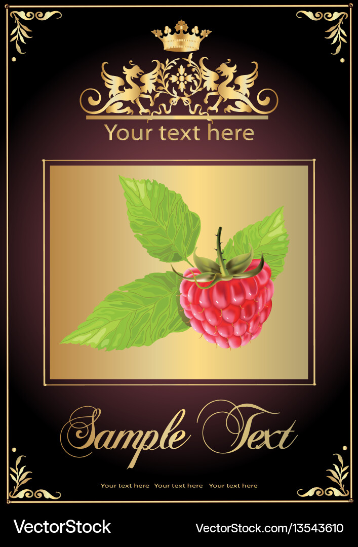 Chocolate Raspberry Delight Vector Image