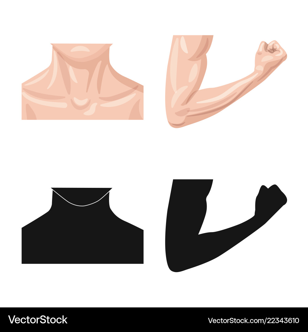 Isolated object of human and part logo set Vector Image