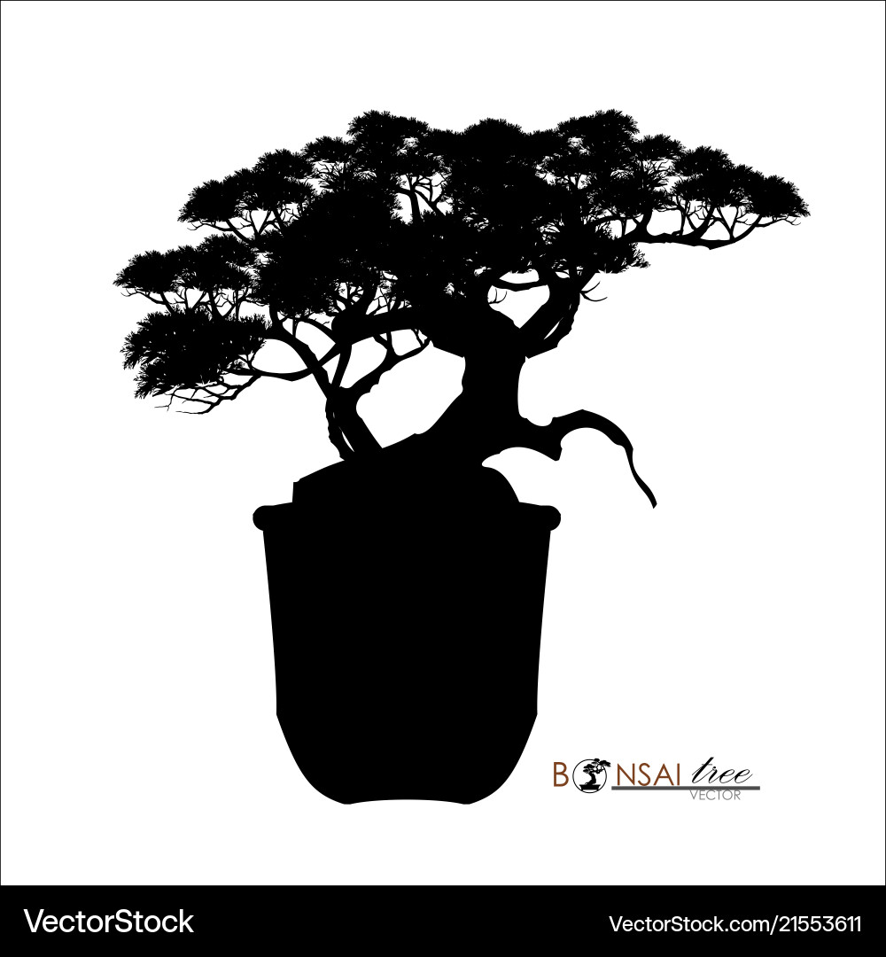 Bonsai tree realistic style Bonsai tree realistic style Vector Image