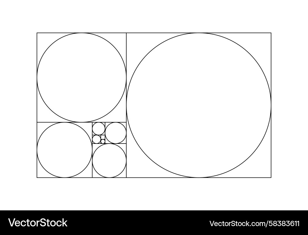 Fibonacci Golden Ratio Array Vector Image