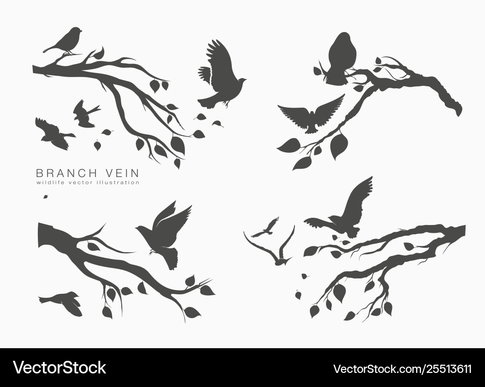 Flying Birds on Tree Branch Vector Image