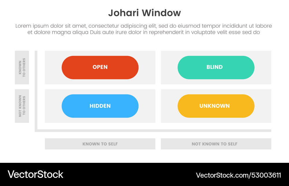 Johari window model framework matrix structure Vector Image