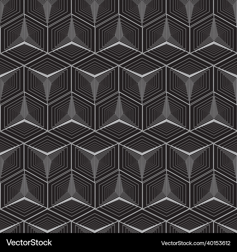 3d isometric image of the outlines nested cubes 3d isometric image of the outlines nested cubes vector image