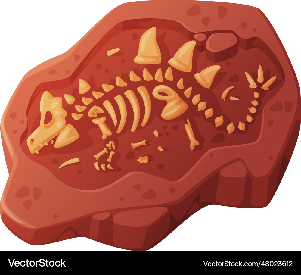 Fossil obtained by digging rested in soil Fossil obtained by digging rested in soil vector image