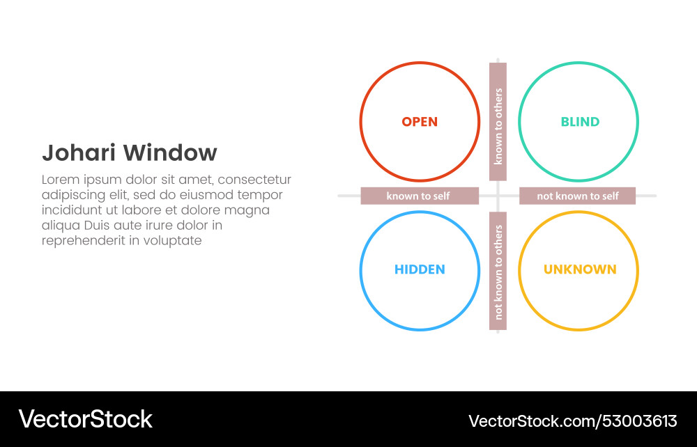 Johari window model framework matrix structure Vector Image