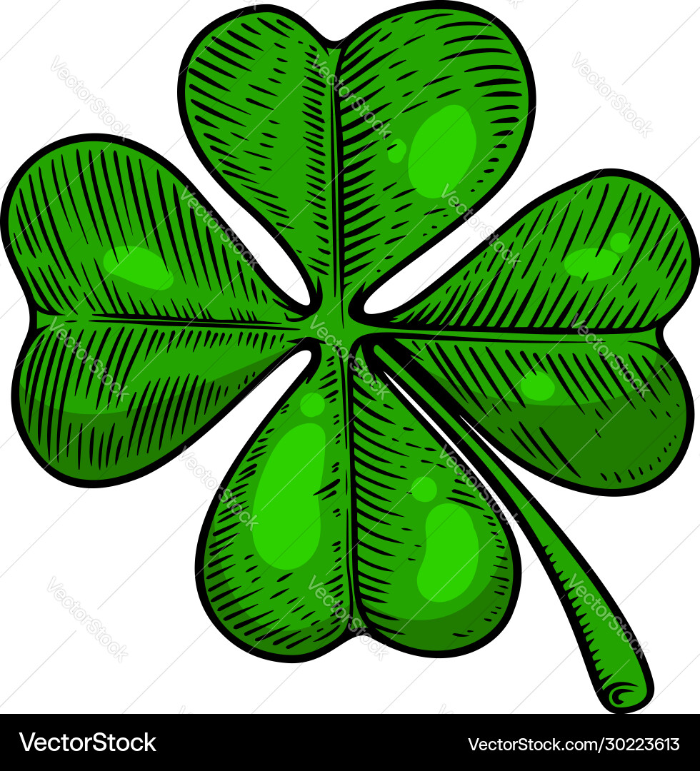 Leaf clover in engraving style design element Leaf clover in engraving style design element vector image