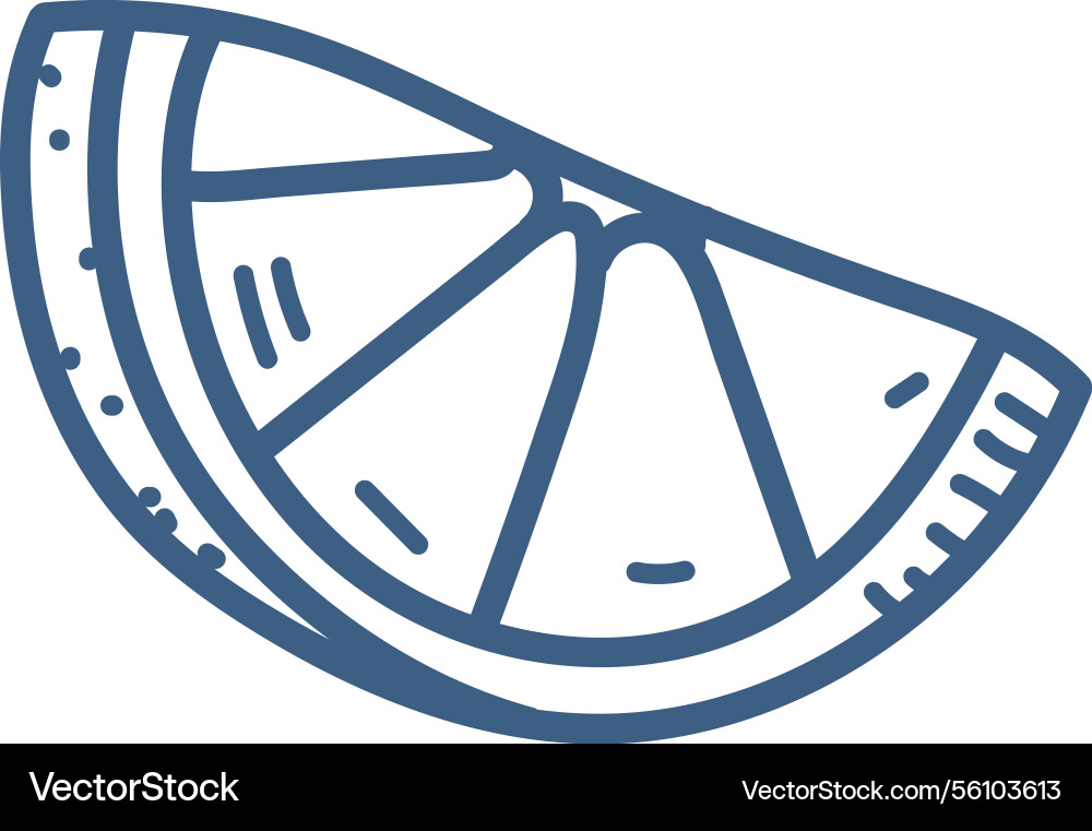Minimalist citrus slice drawing Vector Image