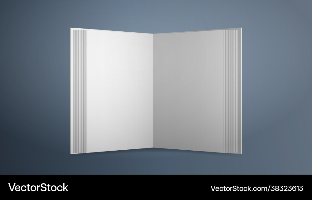 Realistic white blank book open with empty Realistic white blank book open with empty vector image