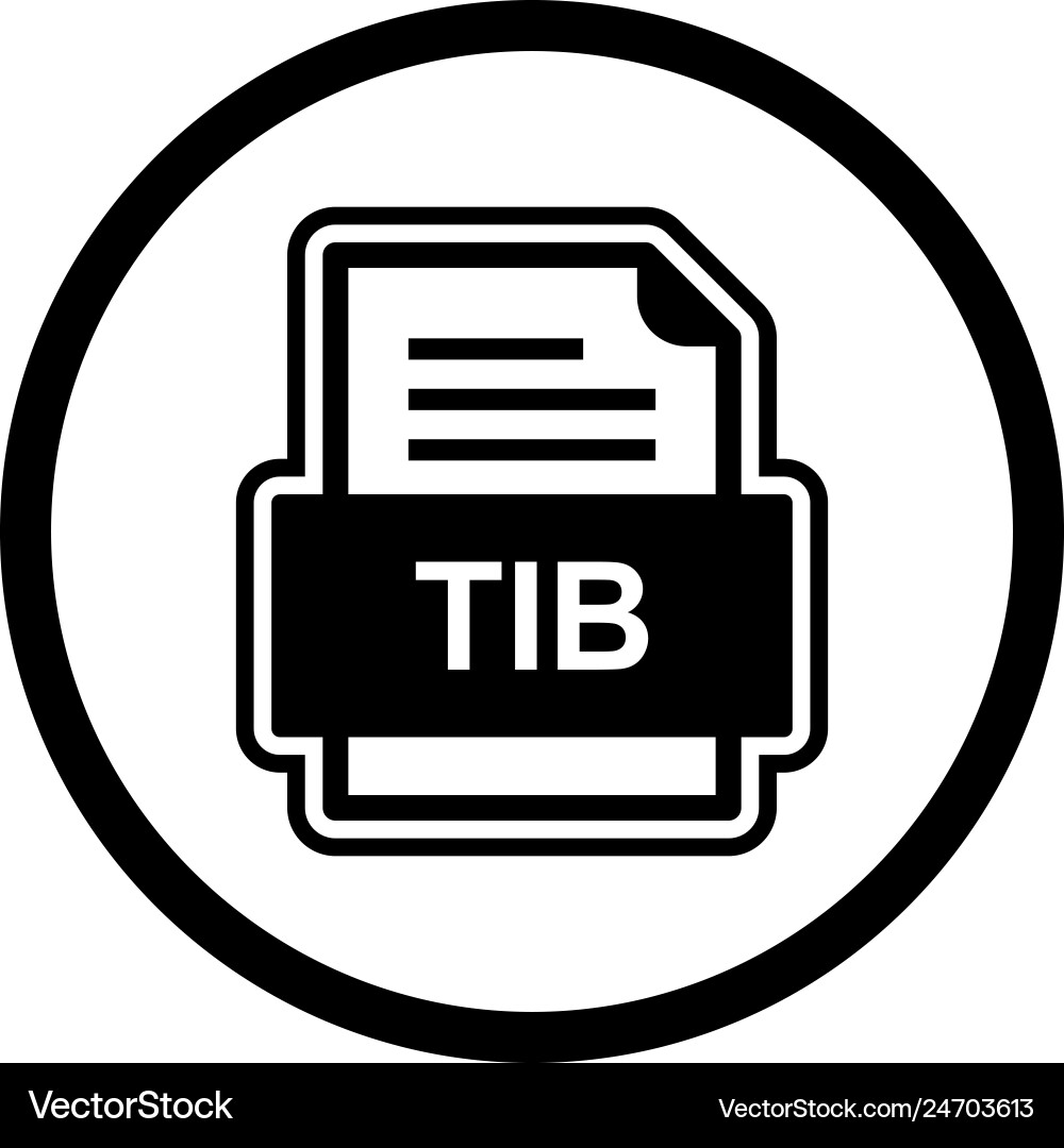 Tib file document icon vector image