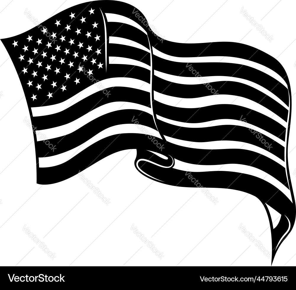 American flag design element for poster card vector image