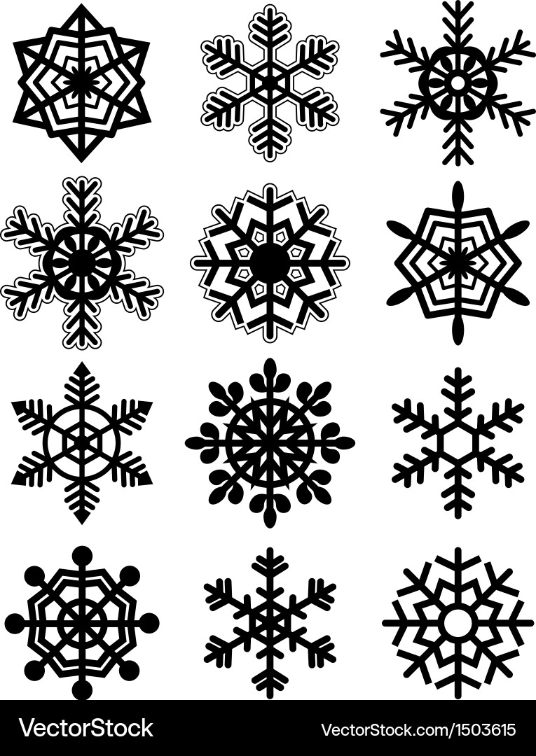 Snowflake Collection Vector Image