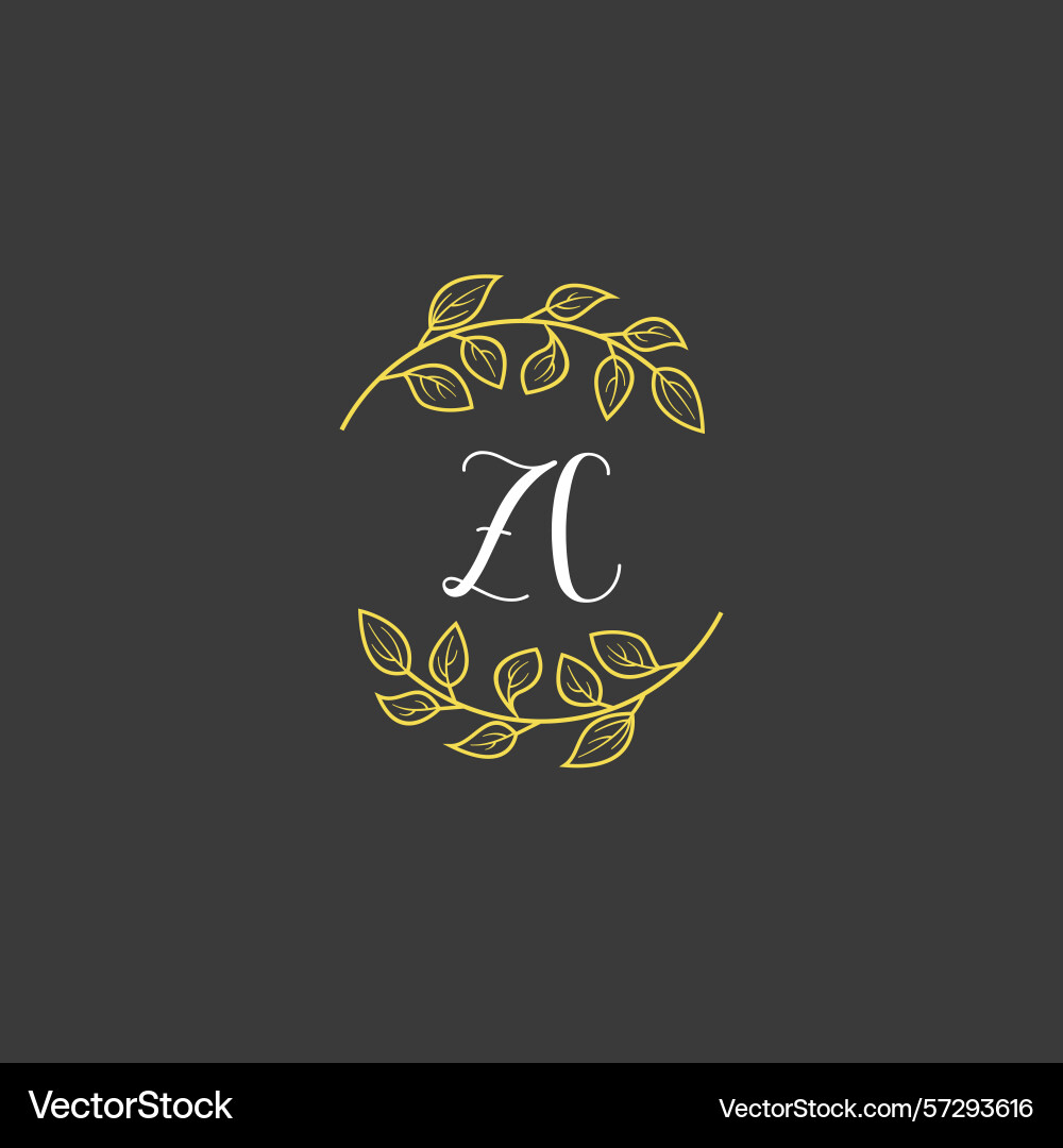 Botanical monogram logos with initial zc Botanical monogram logos with initial zc Vector Image