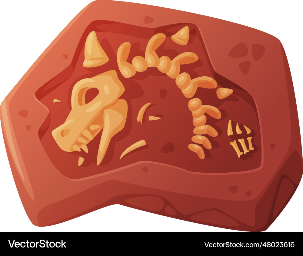 Fossil obtained by digging rested in soil Fossil obtained by digging rested in soil vector image