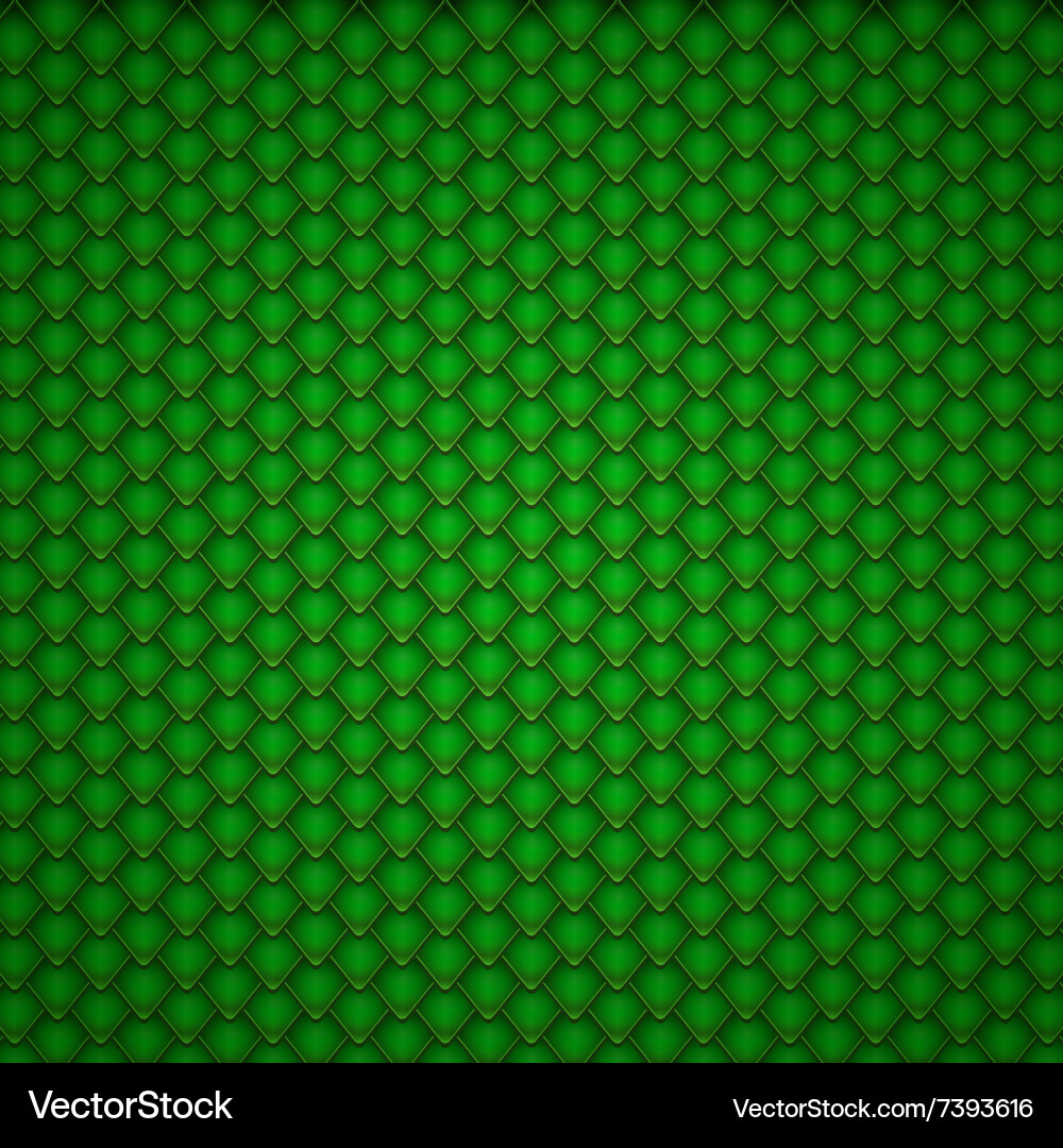 Reptile scales pattern background vector image