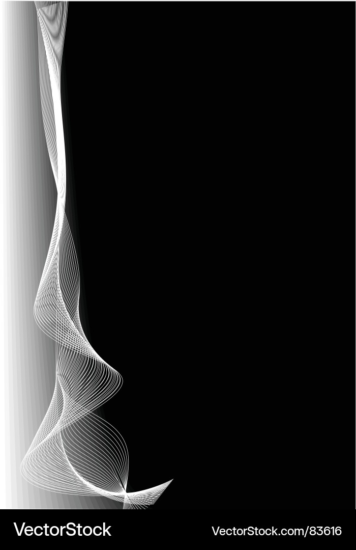 White Line Pattern Background vector image