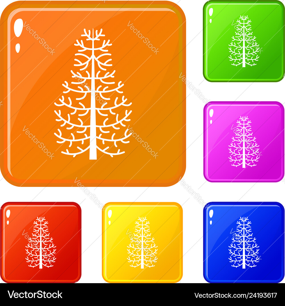 Fir tree icons set color Vector Image