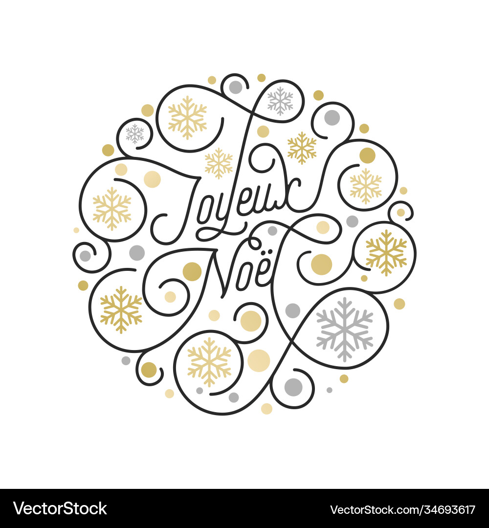 Joyeux Noël Calligraphy Snowflake vector image