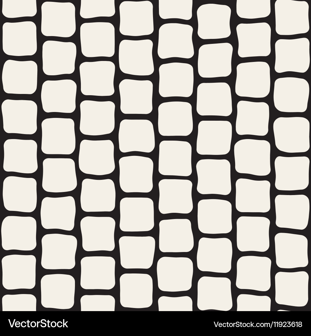 Black and White Rectangular Pattern vector image