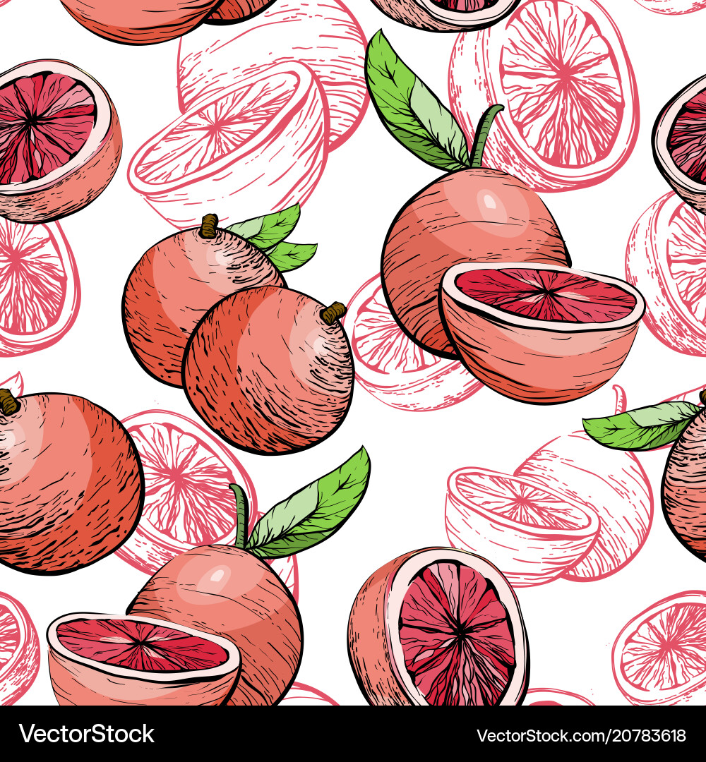 Citrus seamless pattern with grapefruit Citrus seamless pattern with grapefruit vector image
