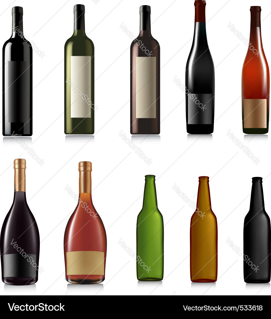 Collection of Various Bottles Vector Image