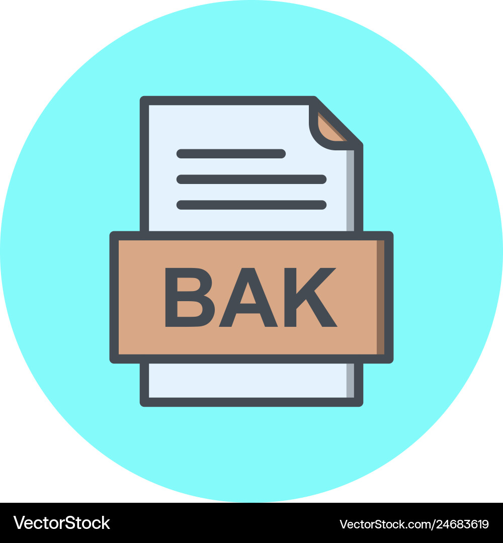 Bak file document icon Vector Image