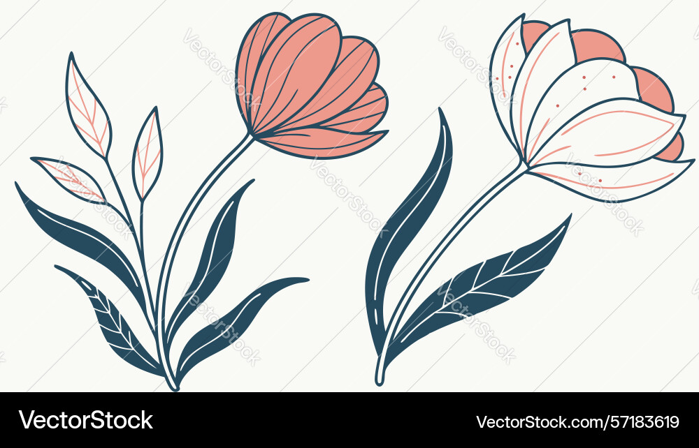 Elegant tulip bloom design generative ai Vector Image