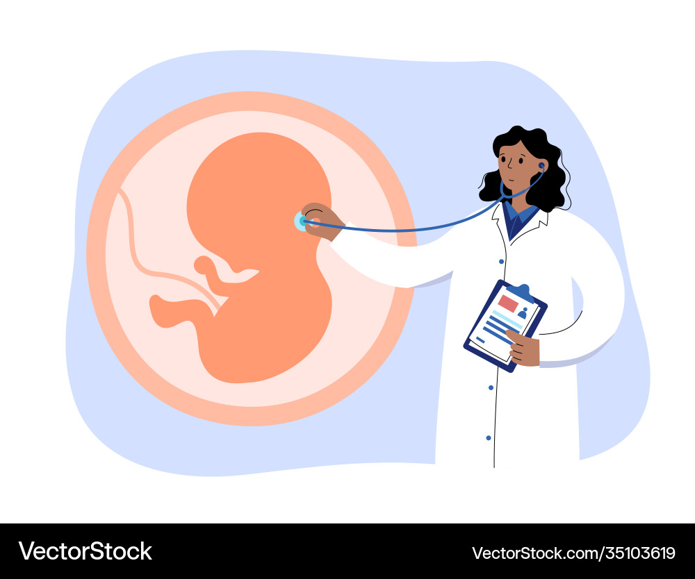 Man reproducive system problems vector image